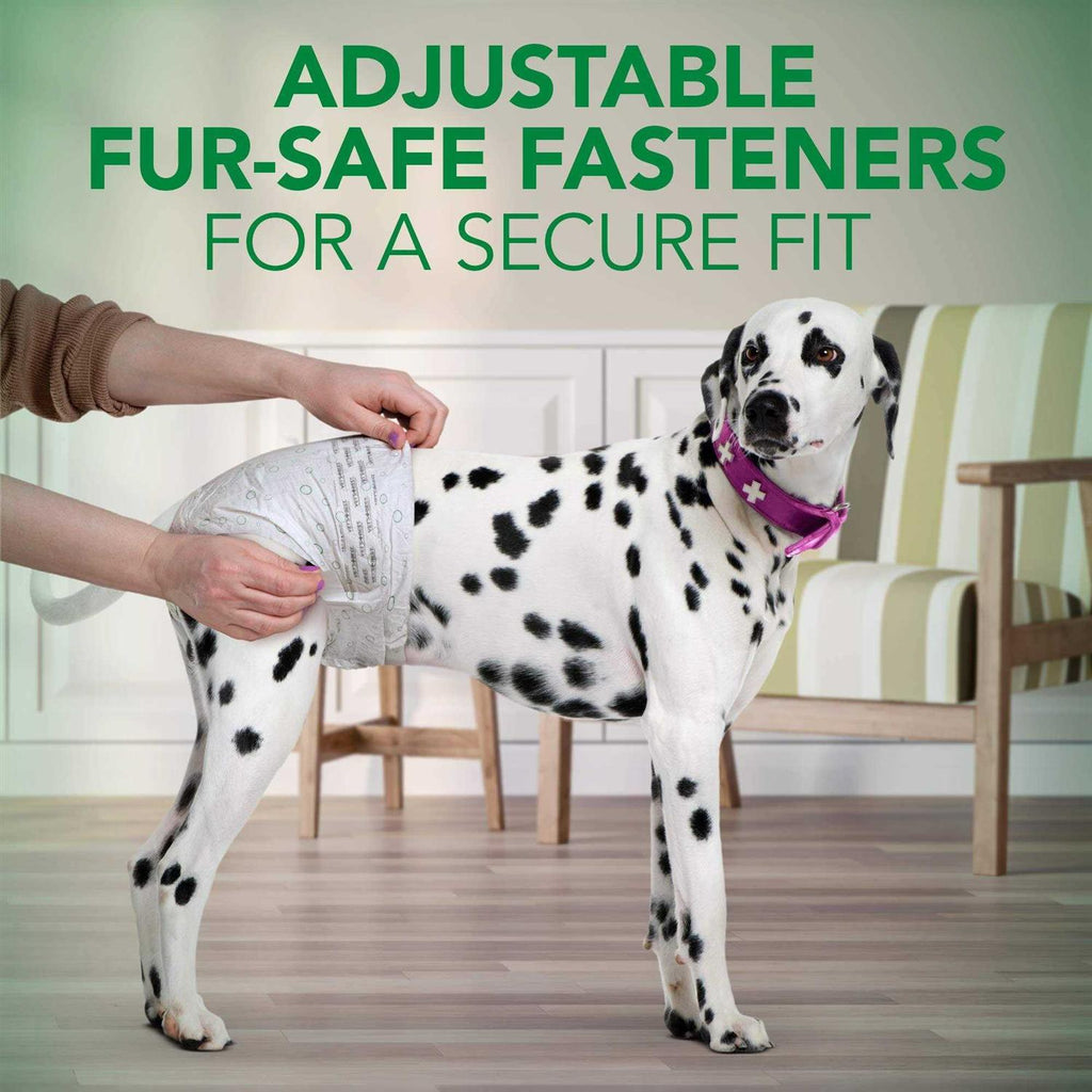 Disposable Female Dog Diapers S2691