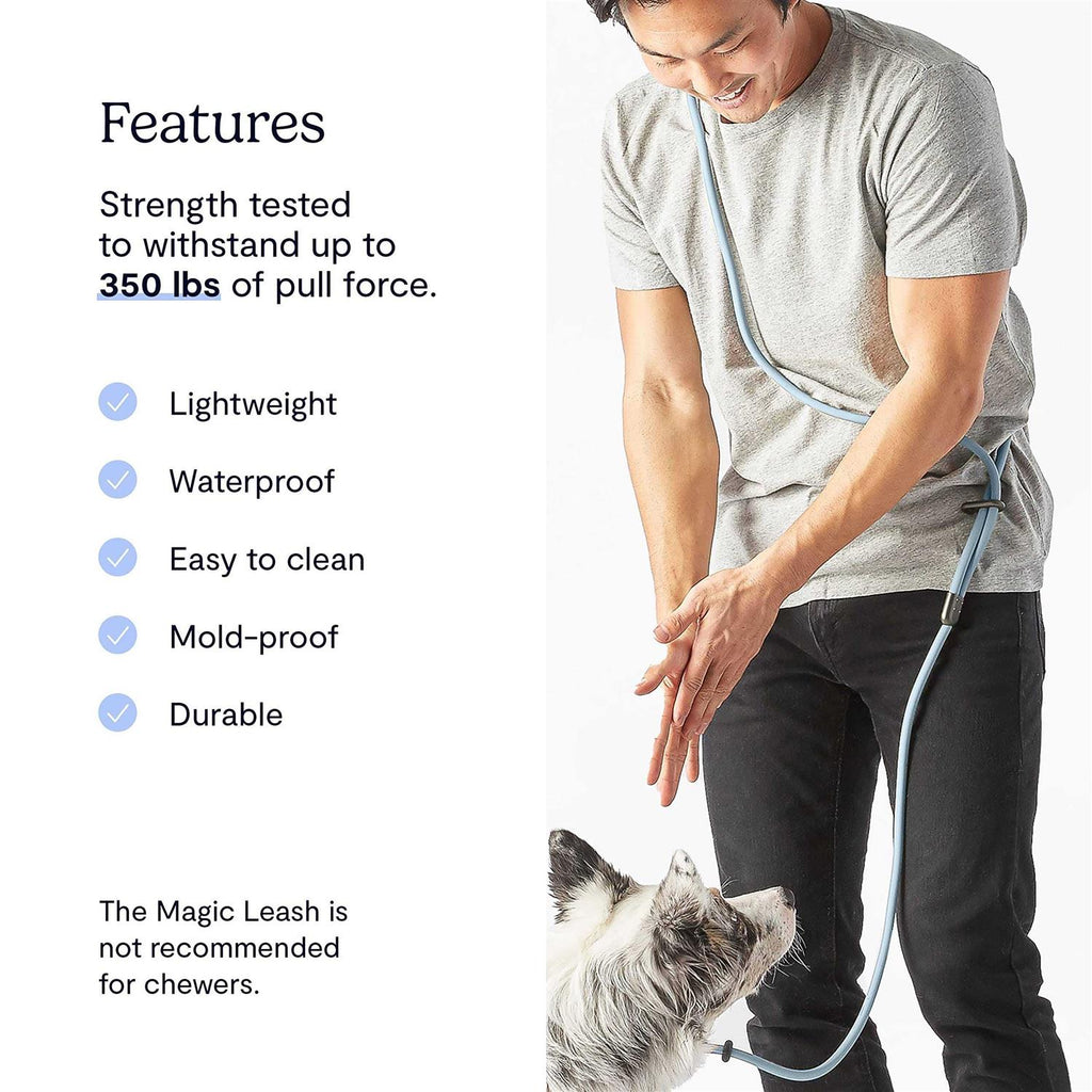 Hands-Free Dog Leash L330098