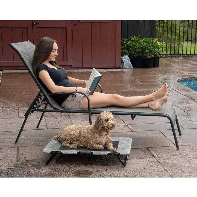 Elevated Pet Cot P233