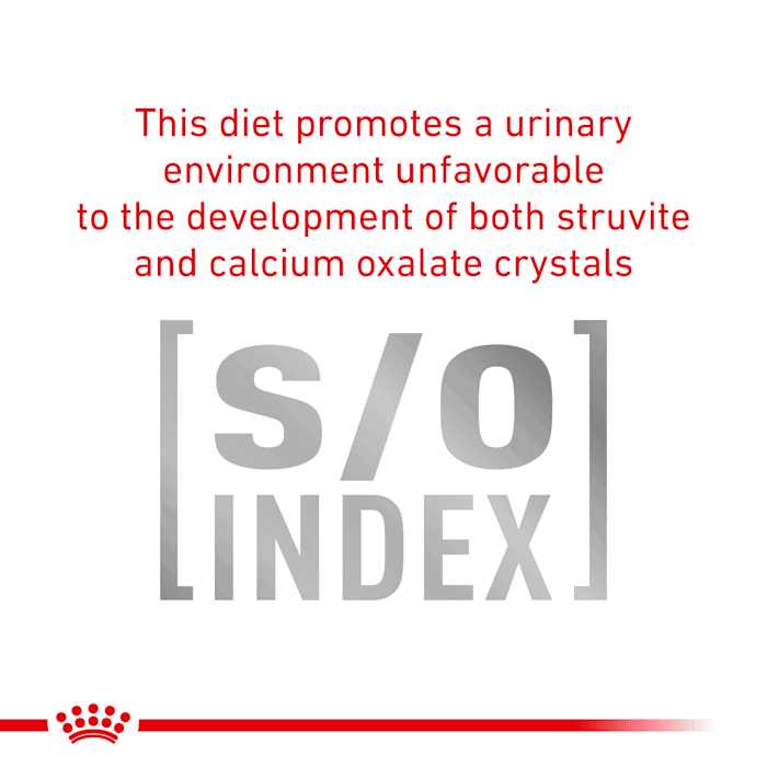 Veterinary Diet Urinary Dog Food W42456