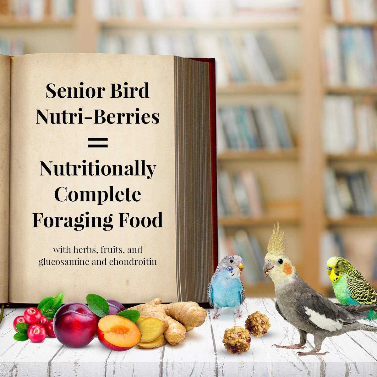 Senior Bird Nutri Berries Parrot Food S7249
