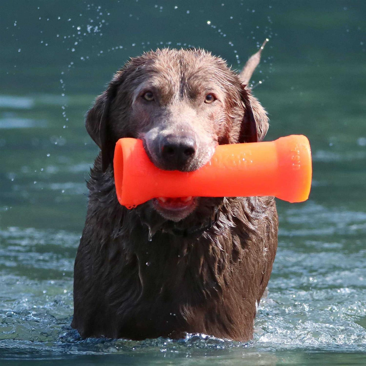Crinkit Dog Toy F731