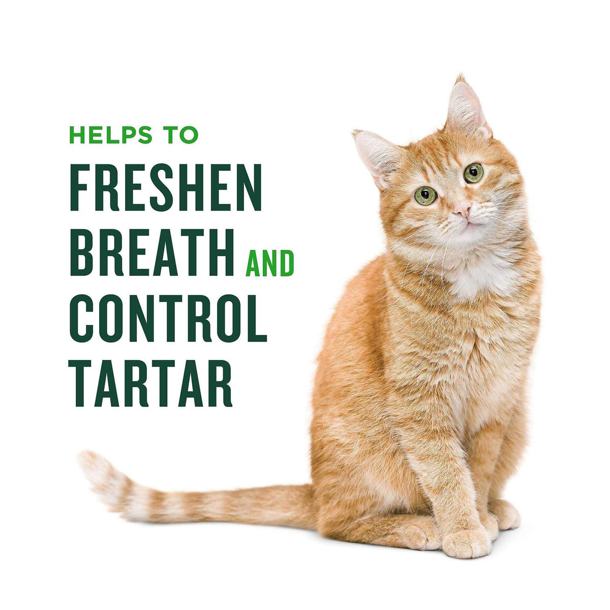Minties Dental Treats for Cats E685134