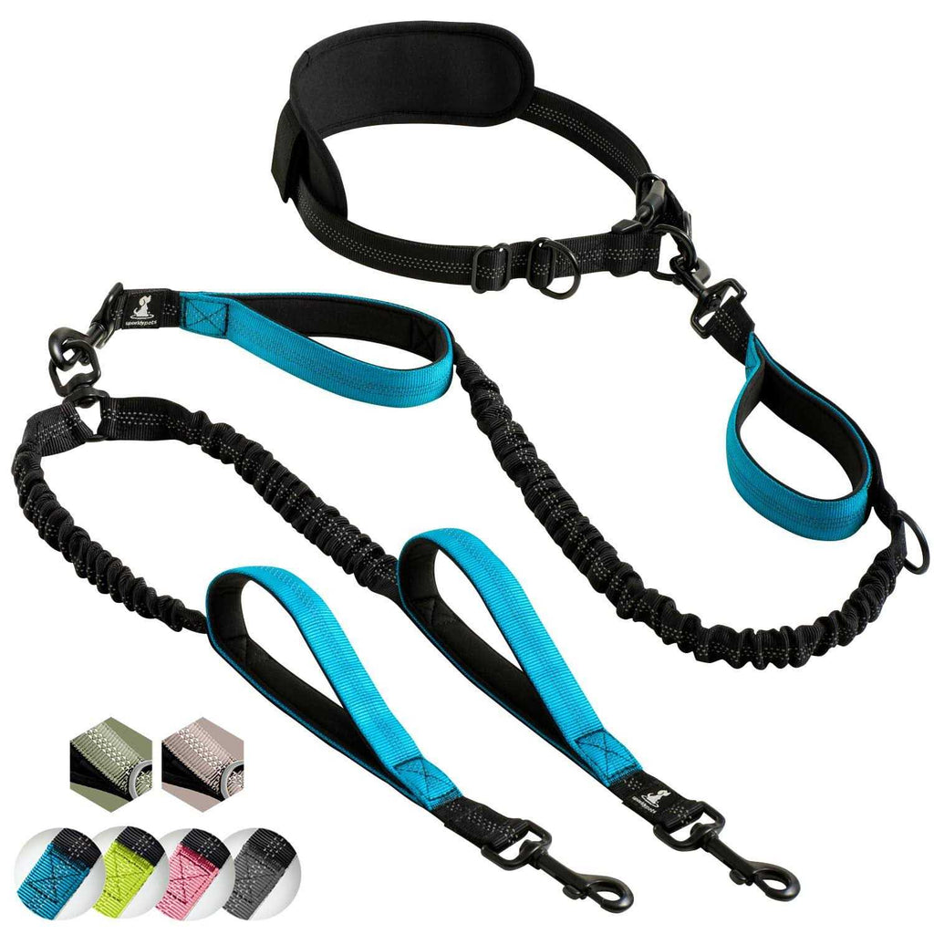 Hands Free Double Dog Leash N715412