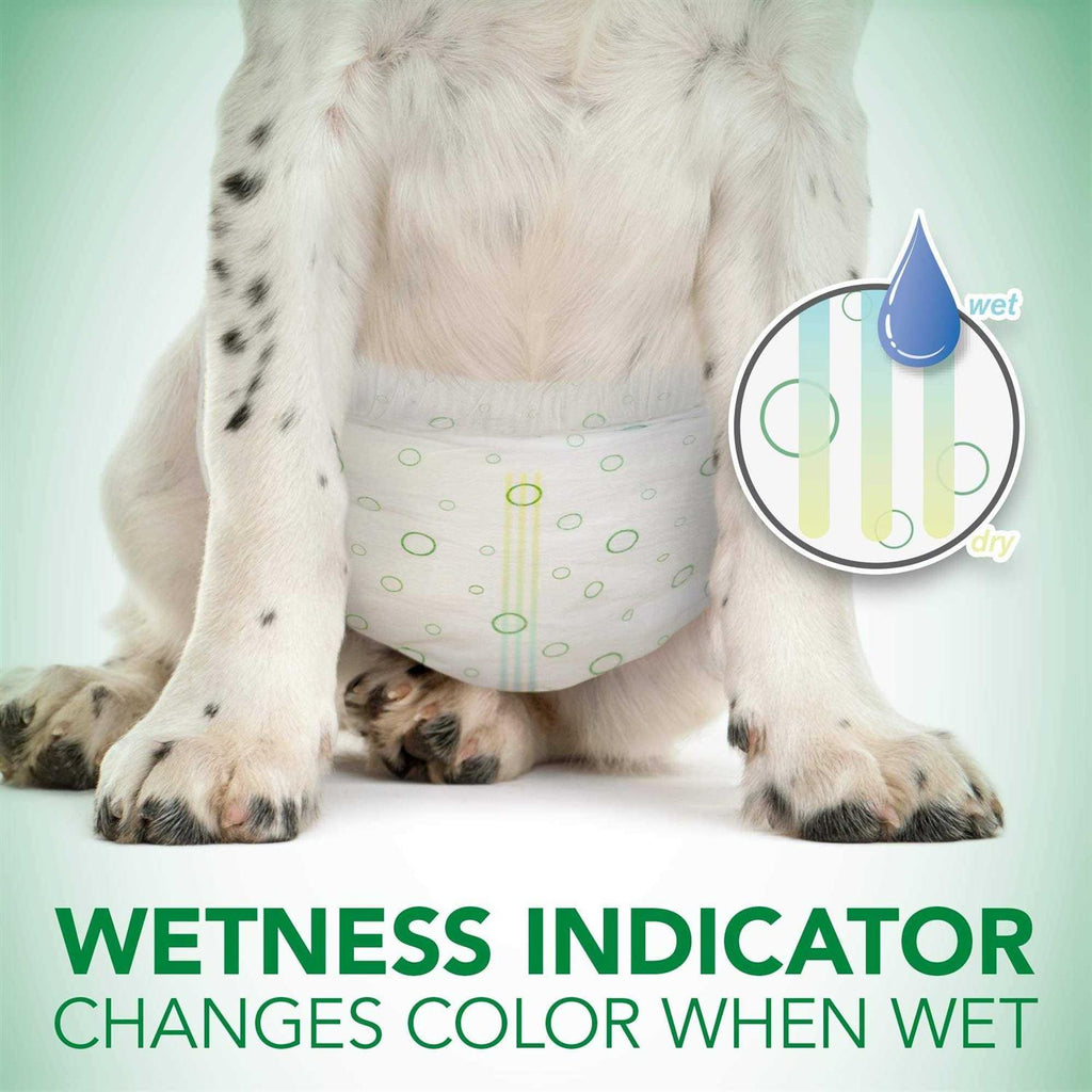 Disposable Female Dog Diapers S2691