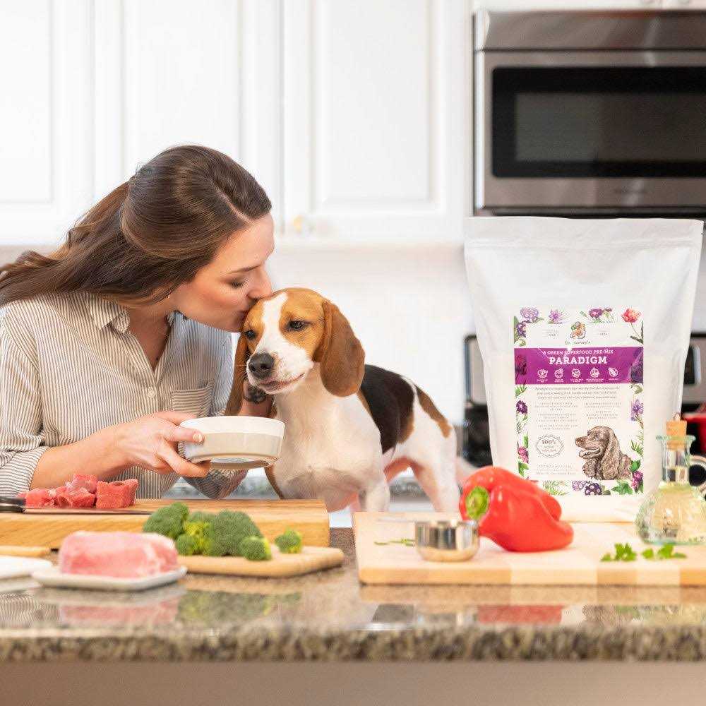 Dog Food V9974