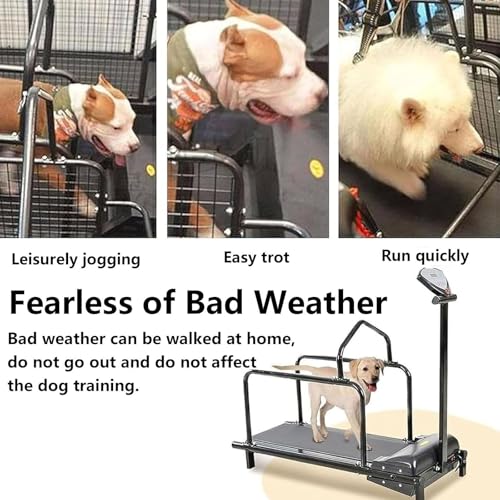 Indoor Dog Treadmill J68469