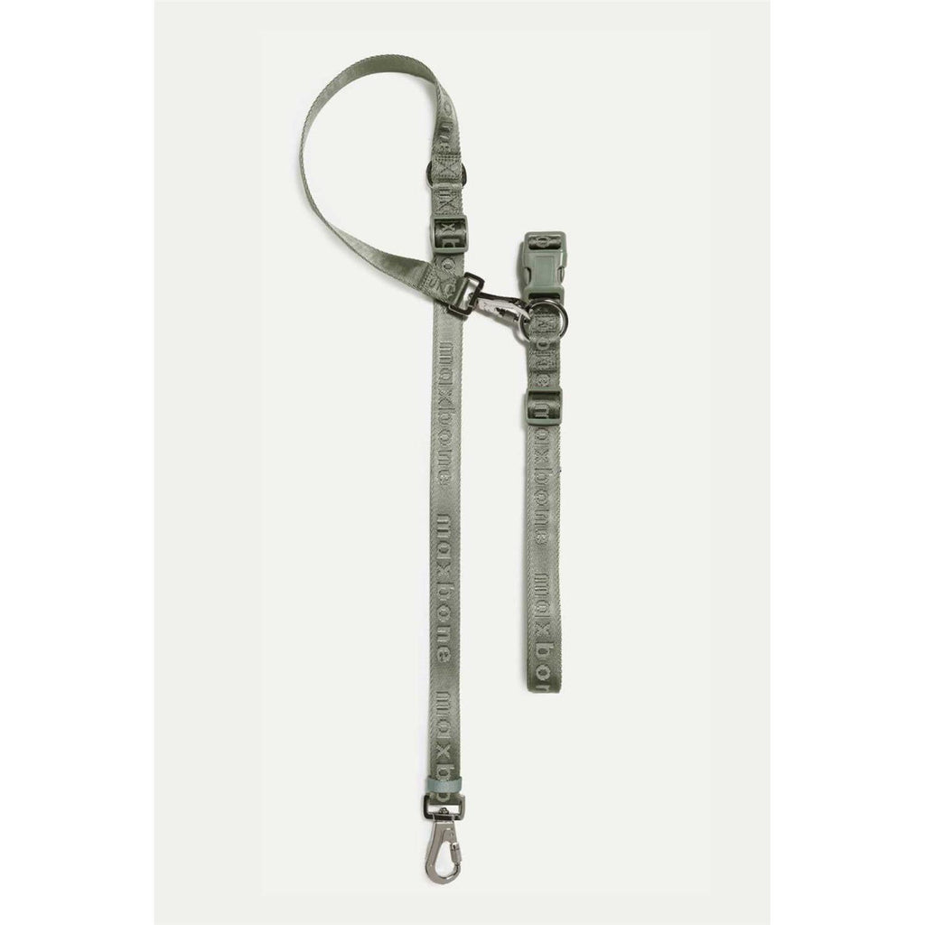 Hands Free Leash J837