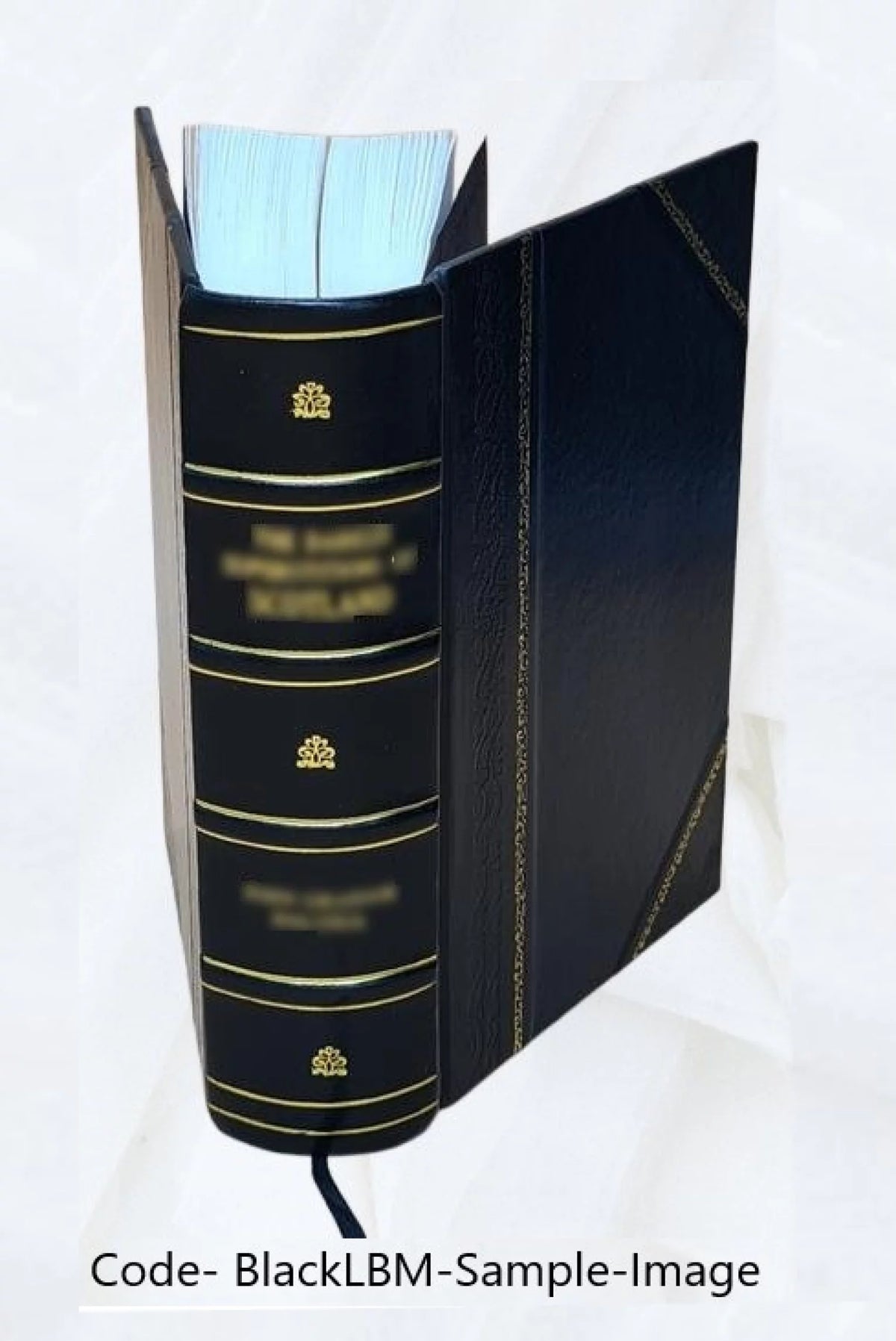 Glossarium ad scriptores mediae & infimae Latinitatis A327