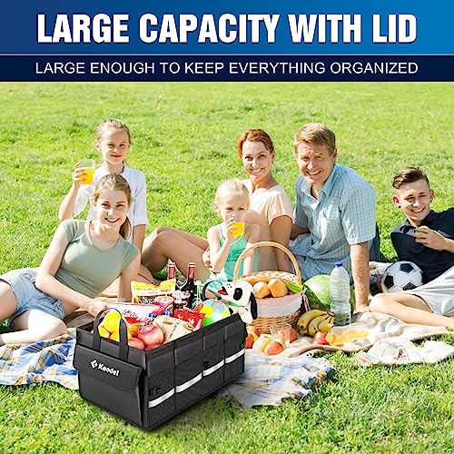 Collapsible Car Trunk Organizer with Lid, Black T7800