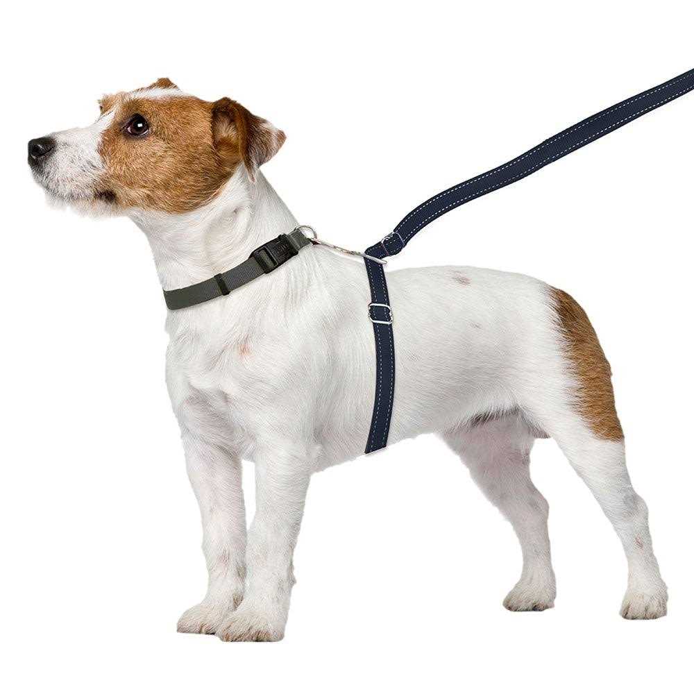 Dog Leash Z771