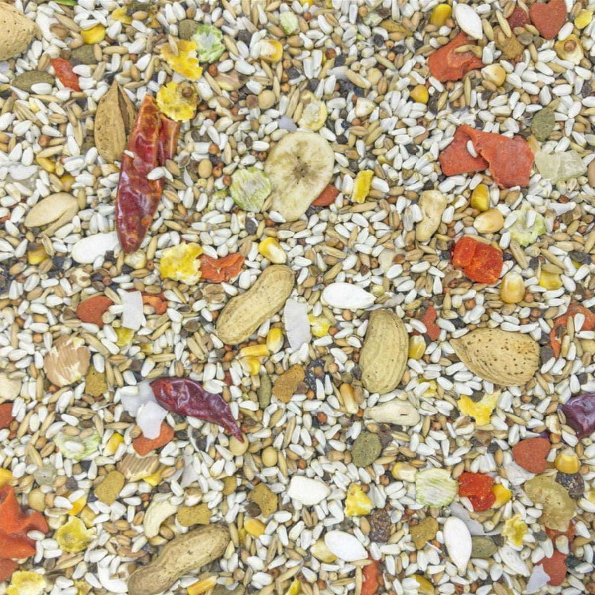 Safflower Gold Parrot Food T1481