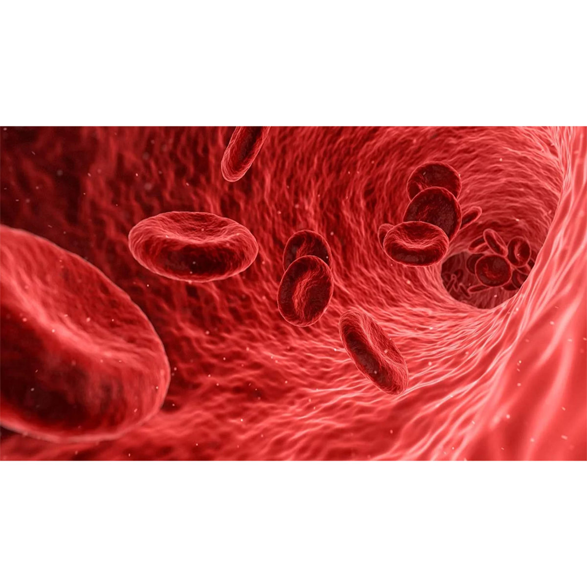 Nitric Oxide Booster K872271