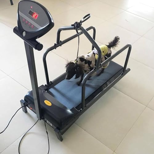 Indoor Dog Treadmill J68469