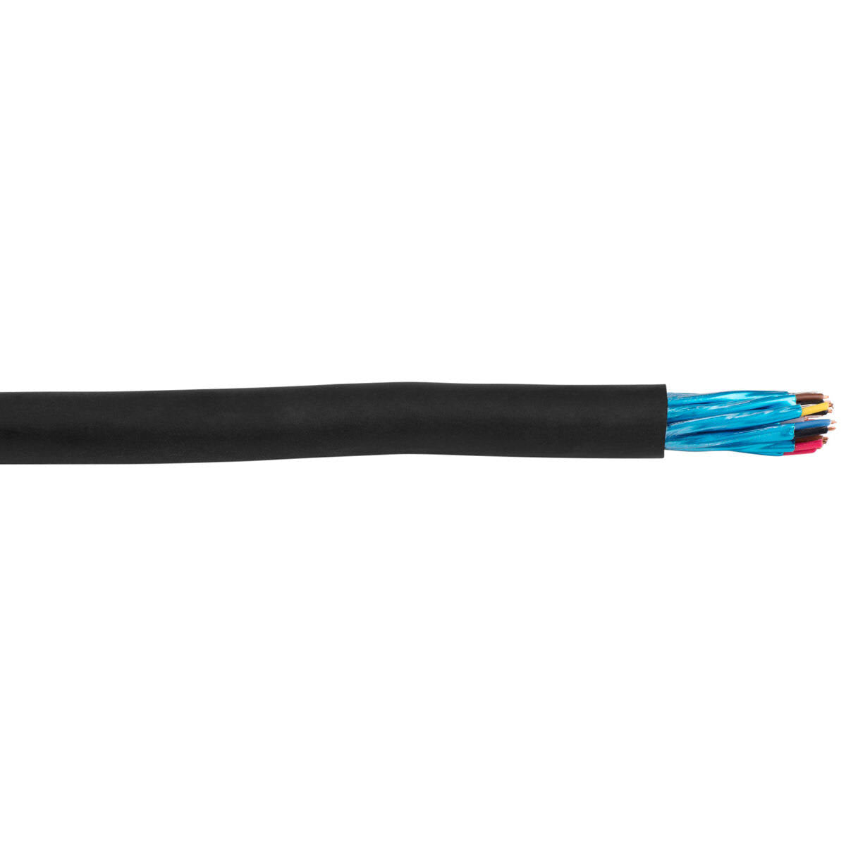 Snake Cable 8 Channel 100 ft. R810