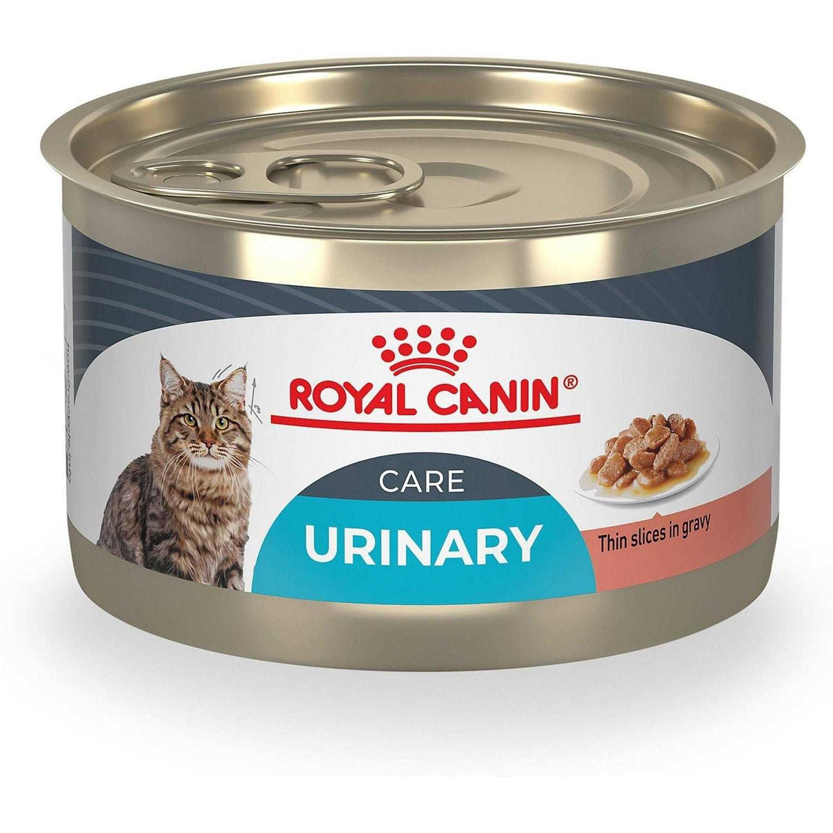 Wet Cat Food C467