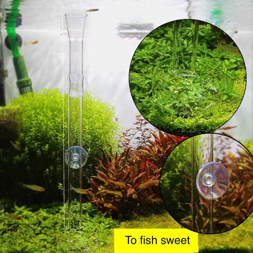 Aquarium Shrimp Feeding Tube and Dish Clear Crystal Glass Feeder D3866