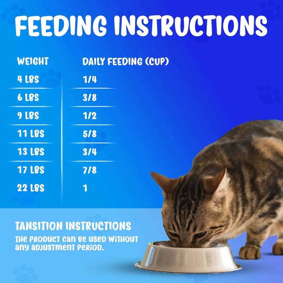 Dry Cat Food S4440