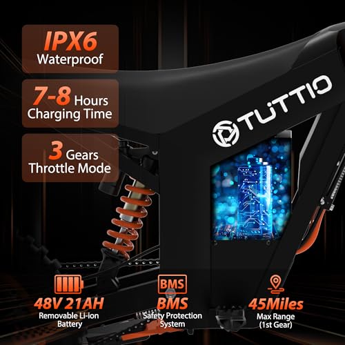 2000W Fat Tire Electric Bike with 48V 21AH Battery X66617