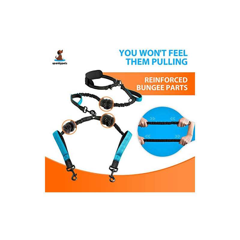 Hands Free Double Dog Leash N715412