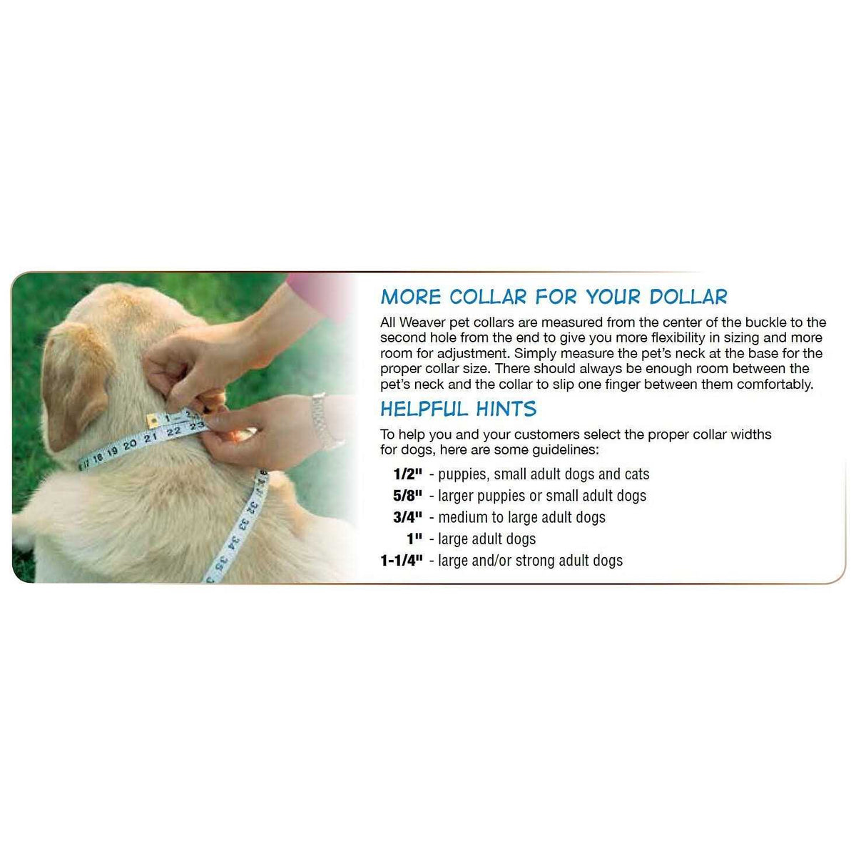 Dog Collar Y2289