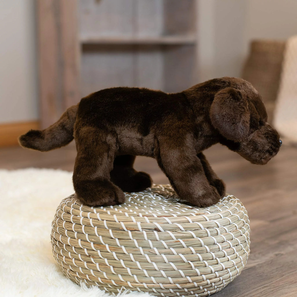 Plush Toy K71923