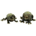 Hand Painted Frog Salt & Pepper Shakers M516943
