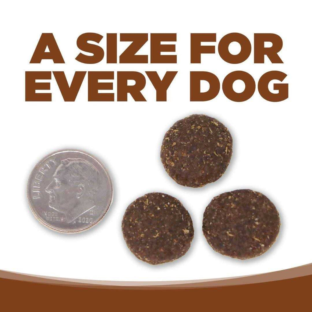 Large Breed Adult Lamb Meal & Rice Dry Dog Food R47365