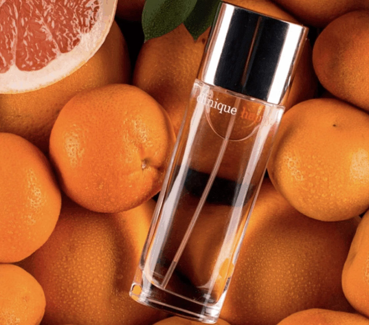 Perfume Spray 3.4 oz T949