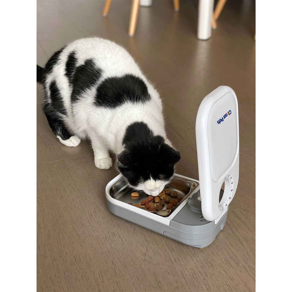 Automatic Timed Dog & Cat Feeder with Stainless Steel Bowl Insert I82747