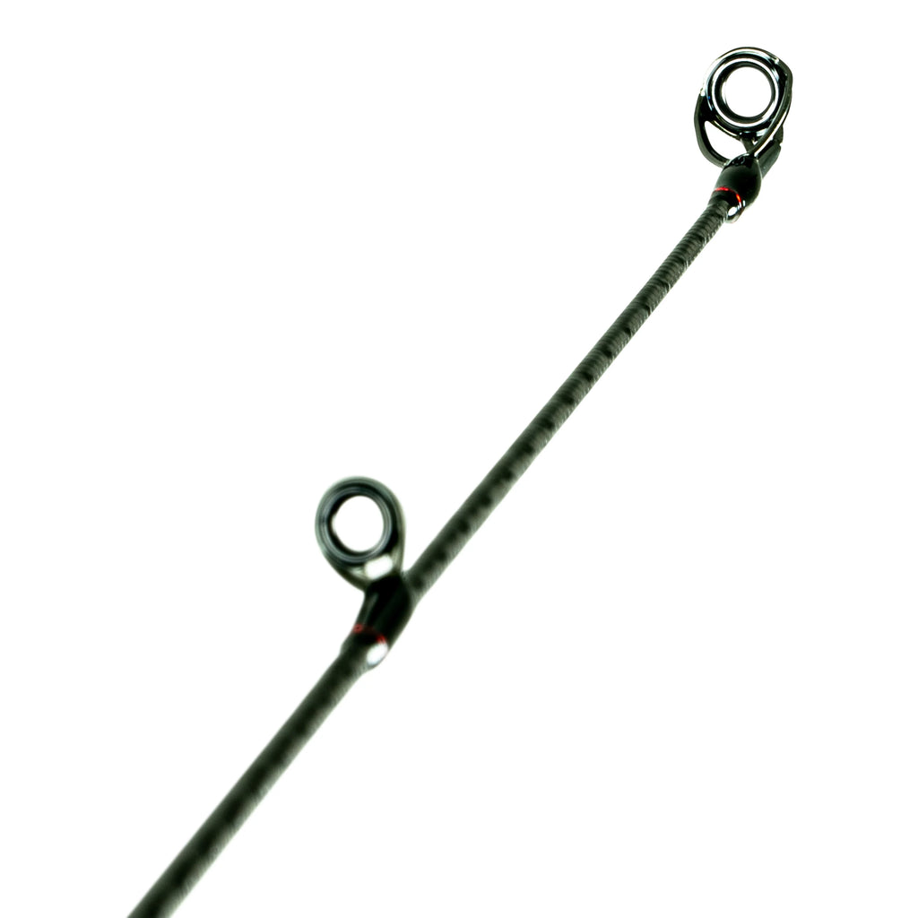 Freshwater Spinning Bass C2353