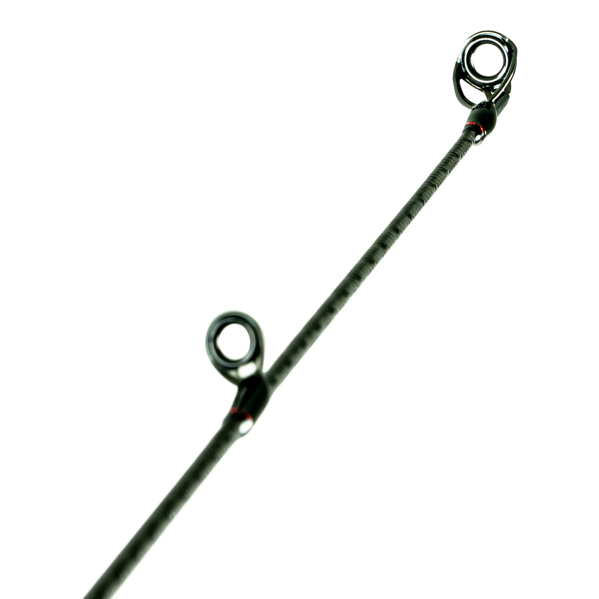 Freshwater Spinning Bass C2353