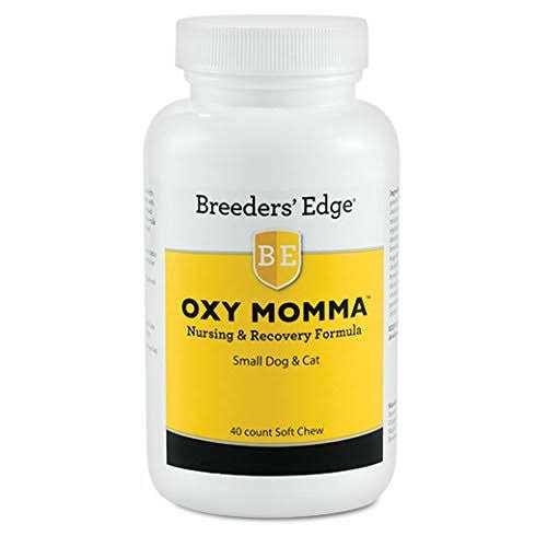 Nursing & Recovery Supplement E497