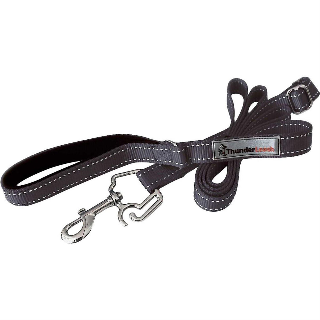 Dog Leash Z771
