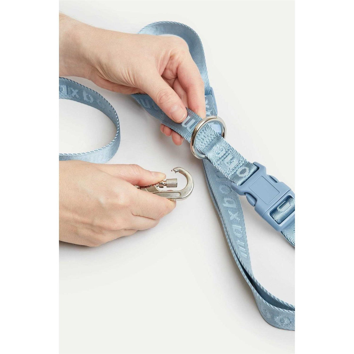 Hands Free Leash J837