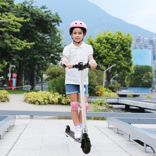 250W Motor 15 Mph Foldable Electric Scooter I6611