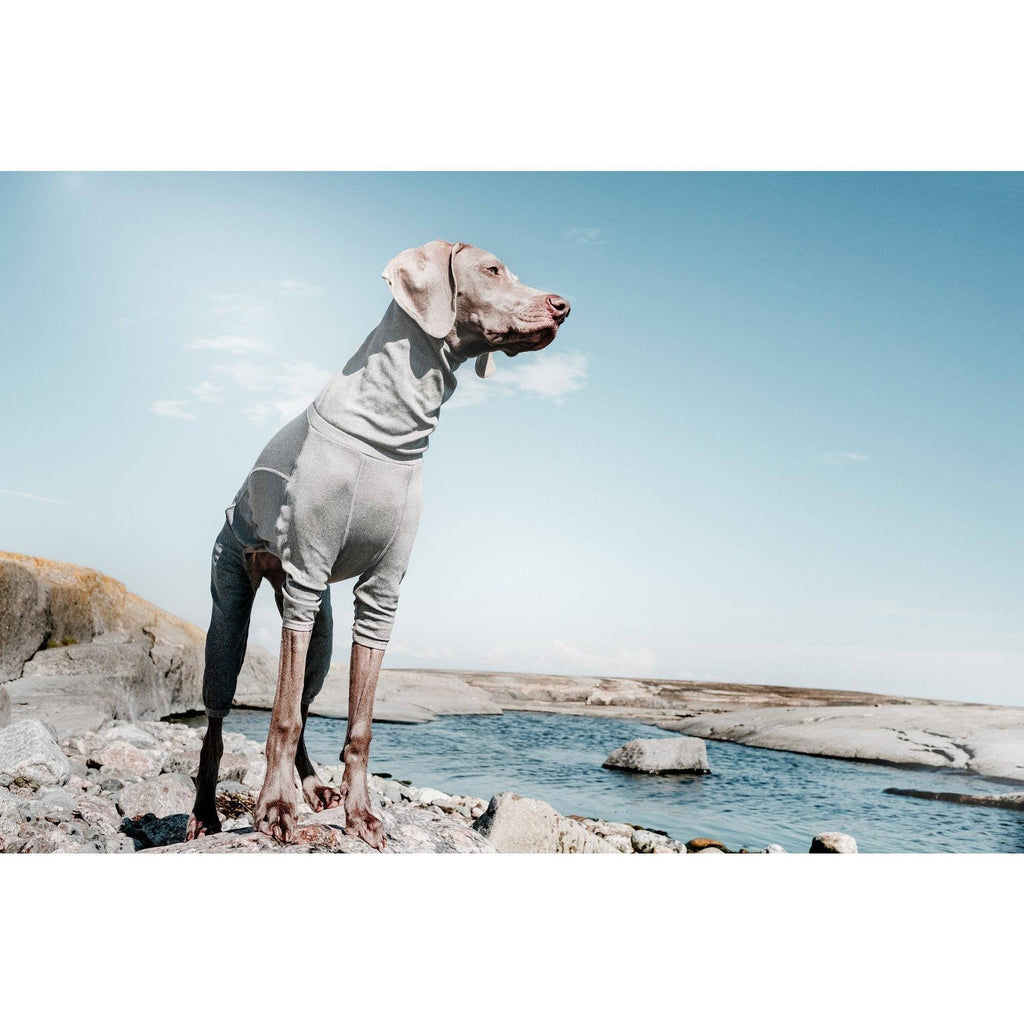 Carbon Grey Dog Body Warmer P1348