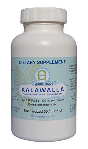 Kalawalla Polypodium Leucotomos 400mg 120 Veggie Caps Q41694