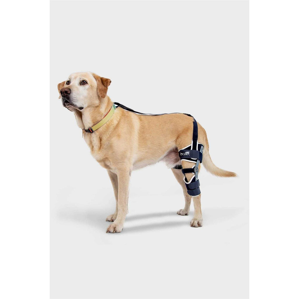 Adjustable Hinged Dog Knee Brace B4600