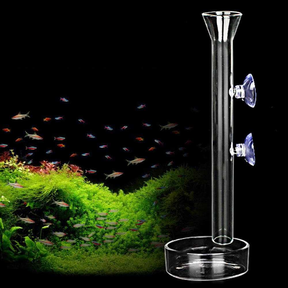 Aquarium Shrimp Feeding Tube and Dish Clear Crystal Glass Feeder D3866