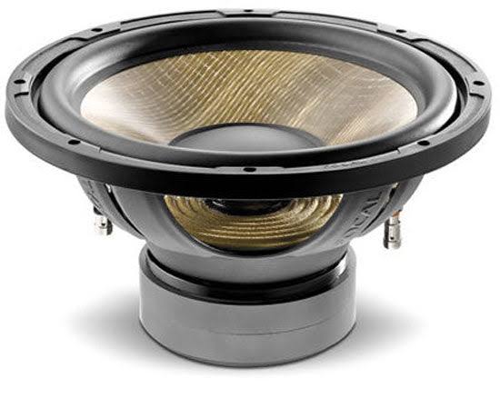 Car Subwoofer T842