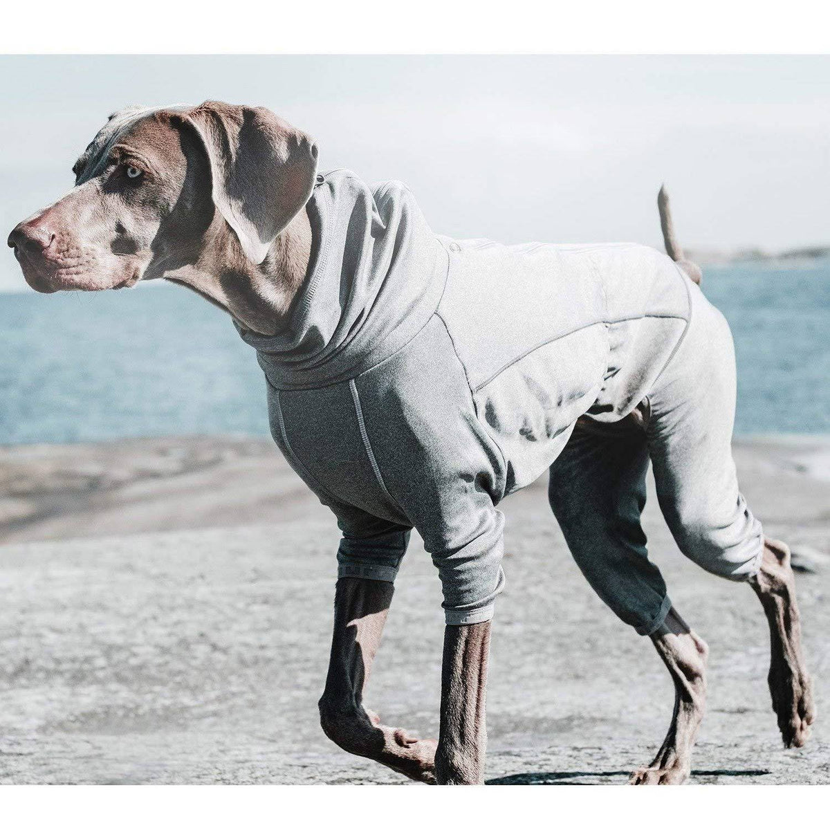 Carbon Grey Dog Body Warmer P1348