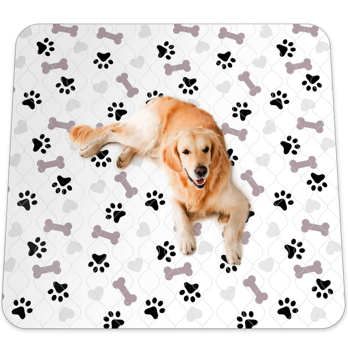 Washable Pee Pads for Dogs Y70402
