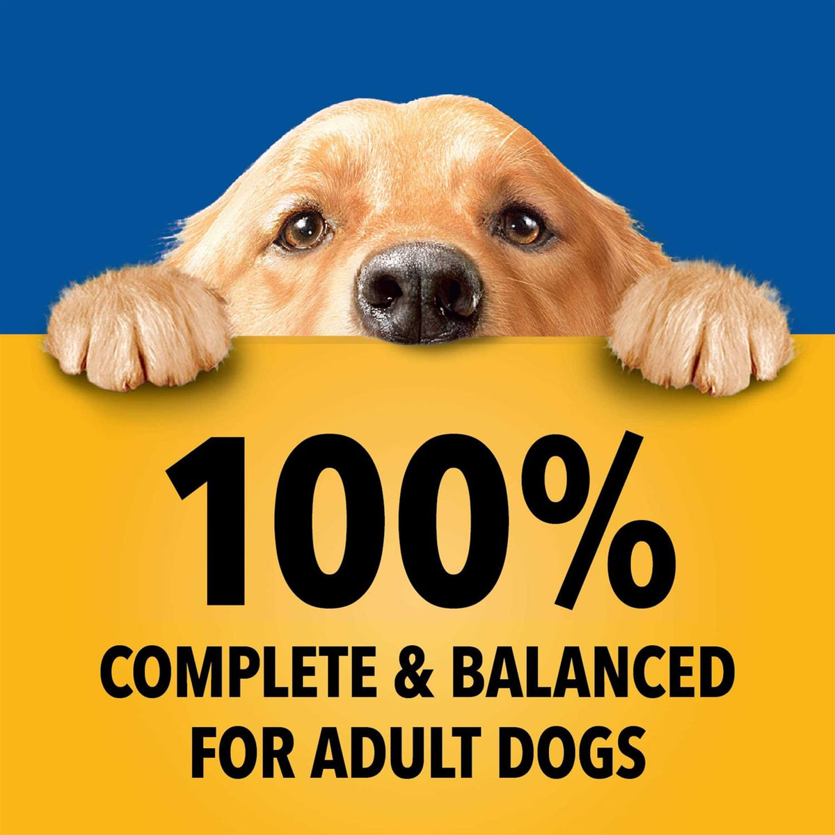 Wet Dog Food Variety Pack O46949