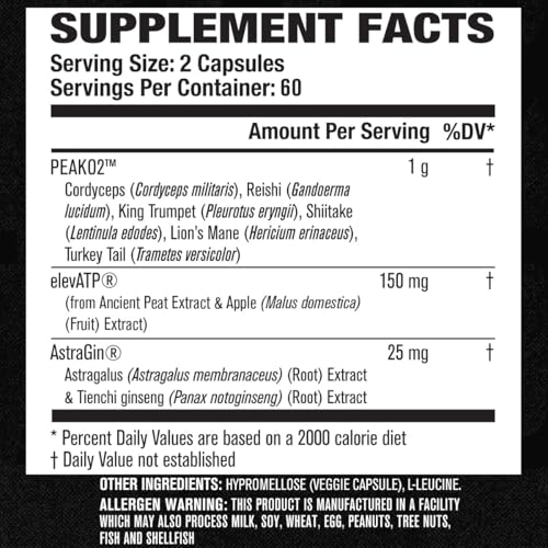 60 Veggie Pills Muscle Building Supplement X506
