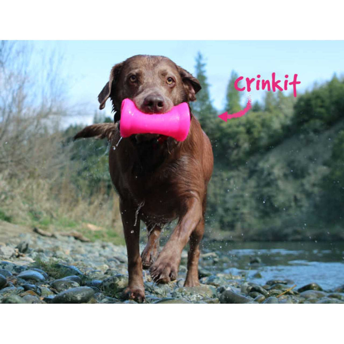 Crinkit Dog Toy F731