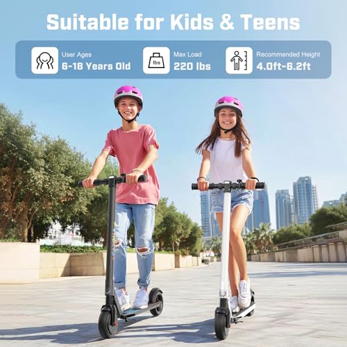 250W Motor 15 Mph Foldable Electric Scooter I6611