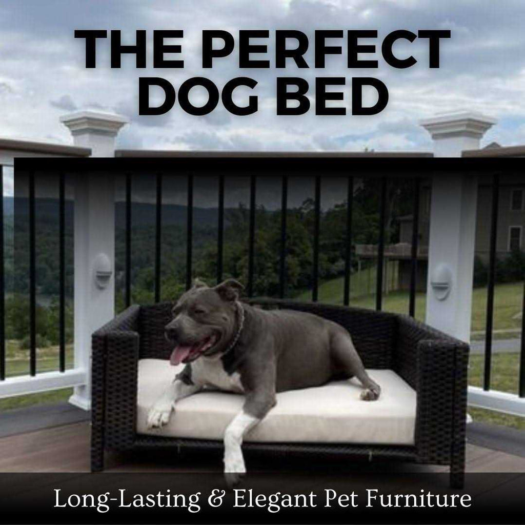 Rattan Rectangular Pet Sofa Q71310