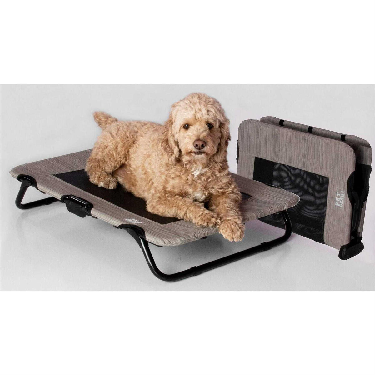 Elevated Pet Cot P233