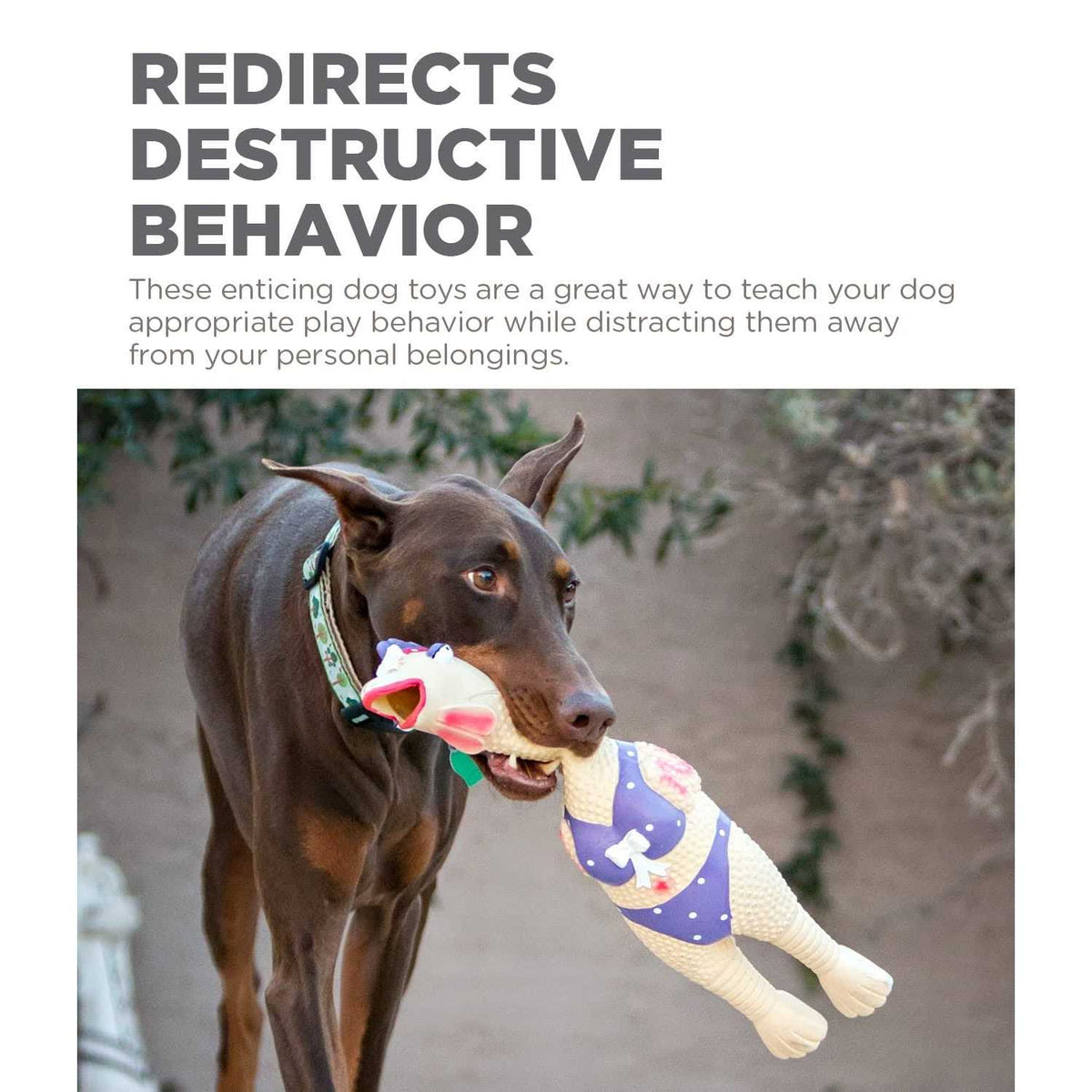 Latex Pet Toy F806054